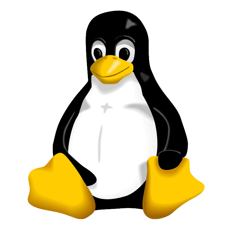 Linux/Kali Linux/Ubuntu